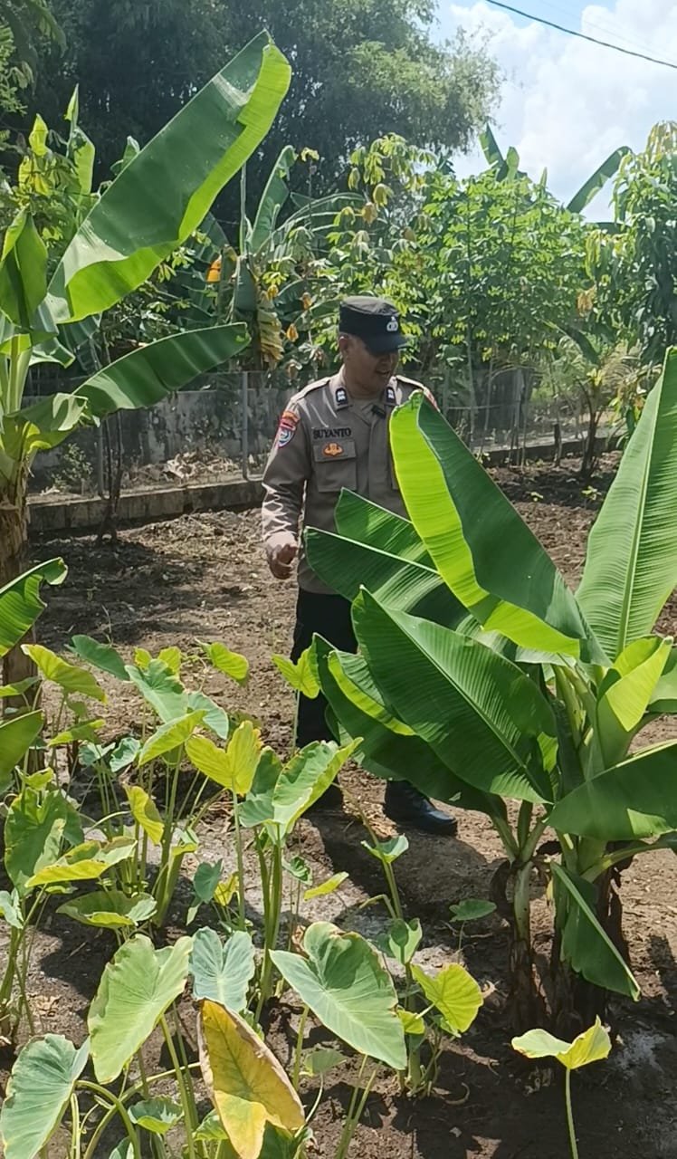 Polresta Nganjuk Dukung Program Pemerintah Peningkatan Ketahanan pangan 
