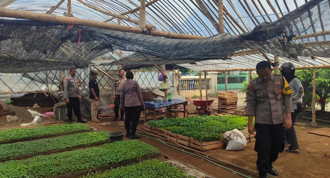 Polsek Kertosono Dukung Program Asta Cita Ketahanan Pangan Lewat Pembibitan Cabe dan Terong