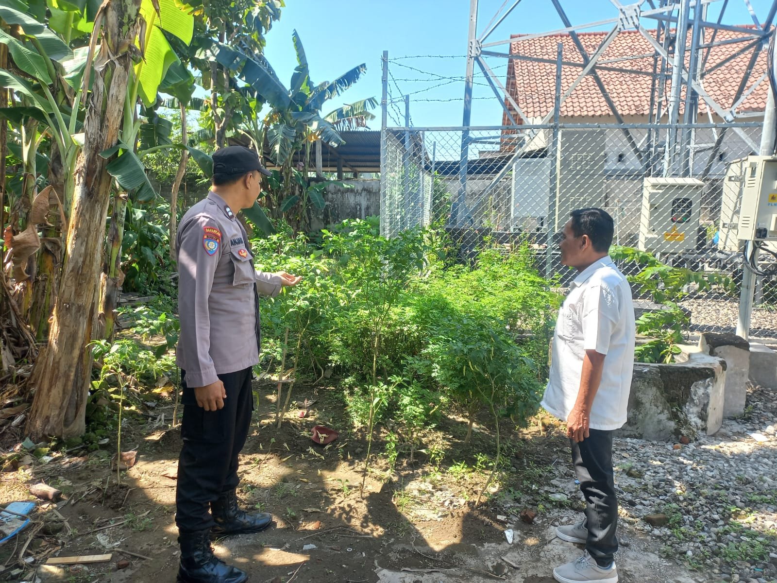 Warga Sugihwaras Kembangkan Lahan Pekarangan Jadi Sumber Pangan Mandiri