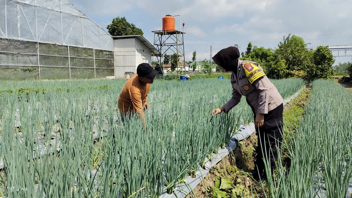Dukung Asta Cita, Bhabinkamtibmas Polsek Warujayeng Dampingi Program Ketahanan Pangan di Tanjunganom
