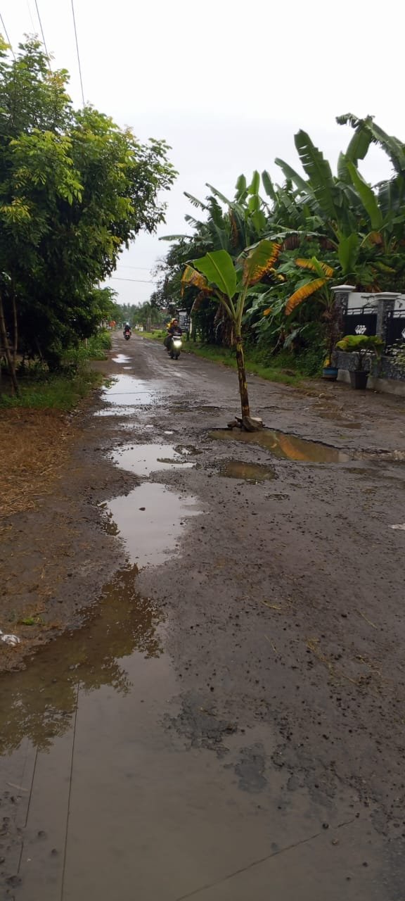 20 Tahun Tak Tersentuh Perbaikan, Jalan Rusak di Sonobekel Nganjuk Viral dan Tuai Keluhan Warga