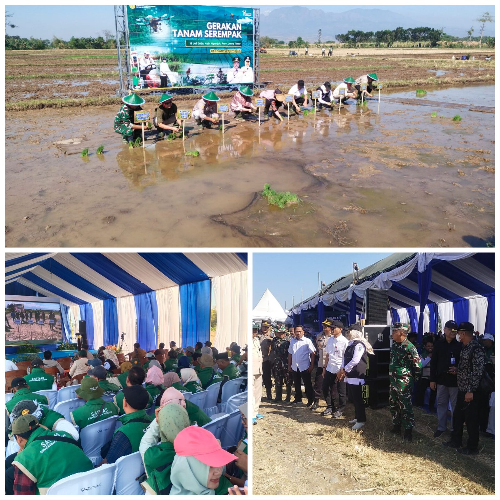 Nganjuk Jadi Lokasi Gerakan Tanam Padi Serentak Program Oplah Kementan